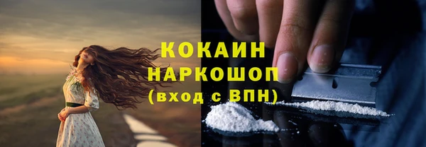 прущий лед Абаза