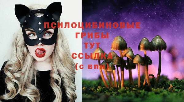 прущий лед Абаза